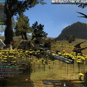 WoF2008-Netherlands-Stage2-Pic20