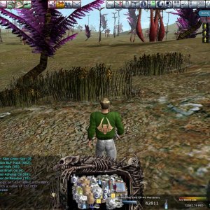 Ambu Global Comp 2