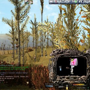 alloevent 24.2