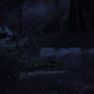 night time (I hope)