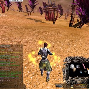 Decent solo hoghunt?!