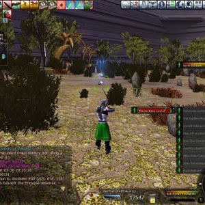 CL 300308 PKs
