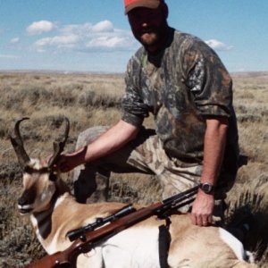 Antelope