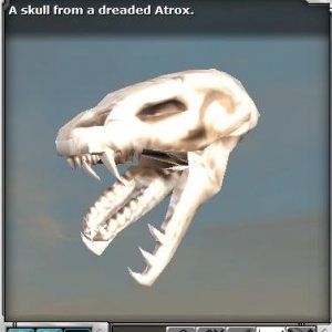 Atrox Skull