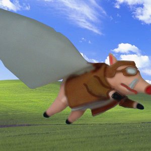 Flying 20pig