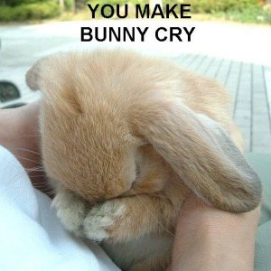 Bunnysad