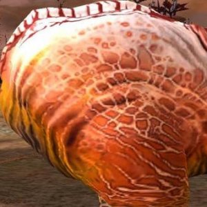 Hog Taming