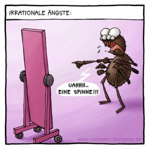 Arachnophobe Spinne