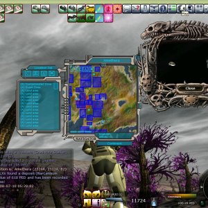 Gradi Stalker Global