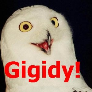 Bn-gigidyowl