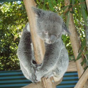 P1010124