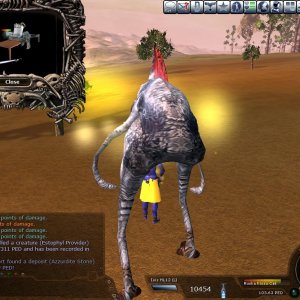 17311 Estophyl Uber Hof
