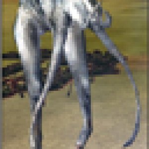 Estosm