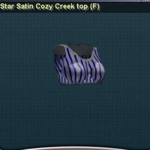 Cozy Creek Top