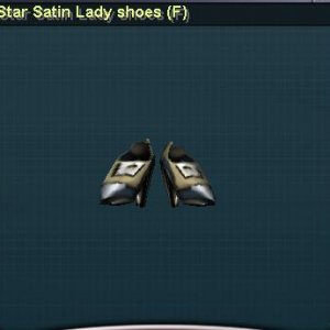 Lady Shoes