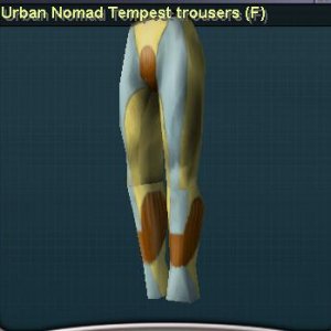 Tempest Pants