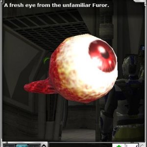 Furor Eye Info & Value