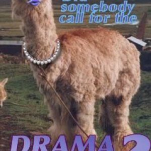 Drama Llama