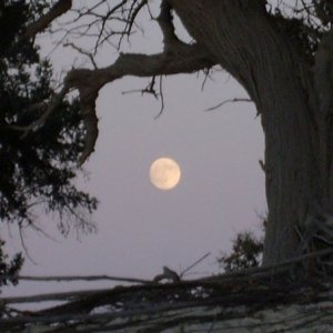 Full Moon Rising