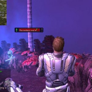 Pk Noob
