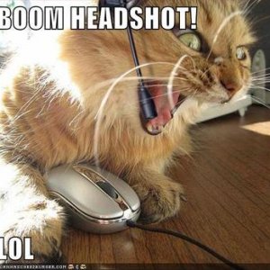 Headshot