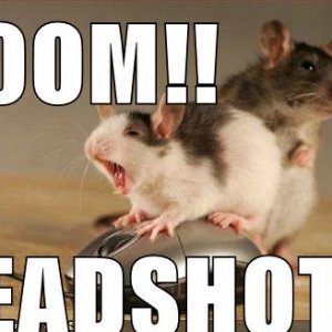 Headshot1