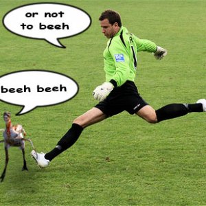 Berygoal