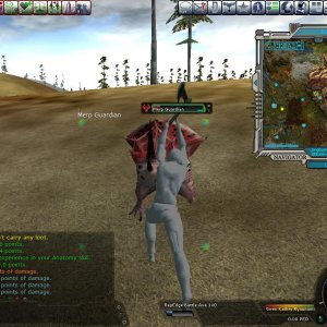 Merp Guardian
