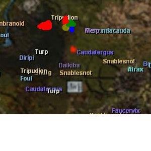 Migration Maps