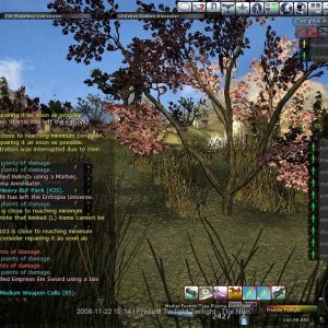 Dual Pvp Kill