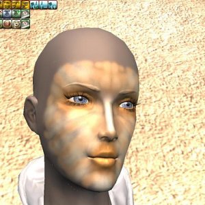 Desert Camo