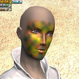 Woodland Camo