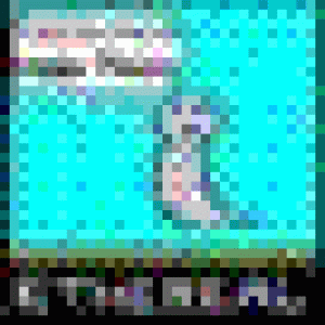 Iconcontest