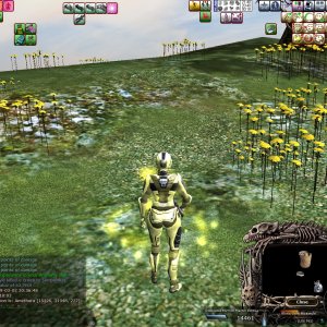 Event @ Movers Valley No.1