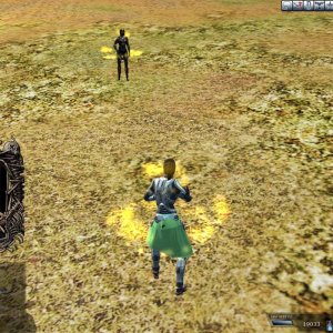 Entropia 2009-03-02 15-56-59-94