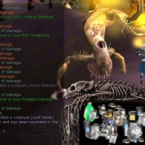 Aurli Weak - 2864 Ped