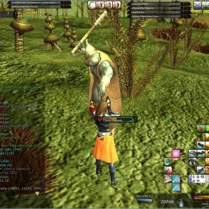 Wof Aust 09 Support Thorio Outcast 69ped