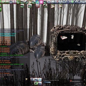 03-07-mermoth Provider 111 Peds Wof 2009