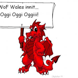 Wof Wales Dragon