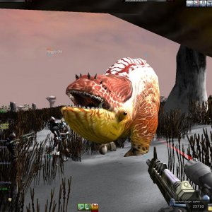 Aust Round 2 Qual Main Hunt Screens