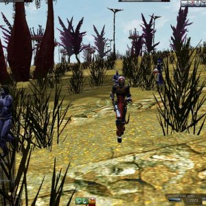 Aust Round 2 Qual Main Hunt Screens