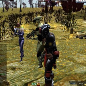 Aust Round 2 Qual Main Hunt Screens