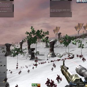 Aust Round 2 Qual Main Hunt Screens