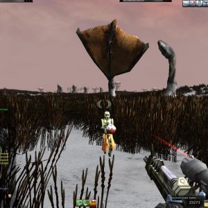 Aust Round 2 Qual Main Hunt Screens