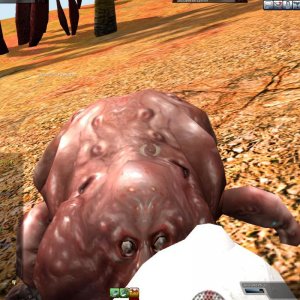 Aust Round 2 Qual Main Hunt Screens