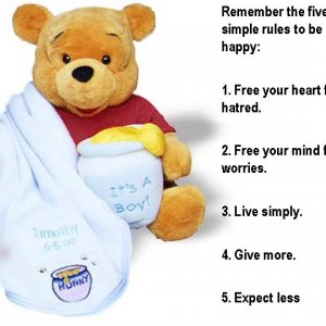 bear 1