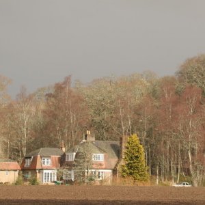 house