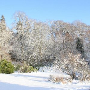 efsnowgarden