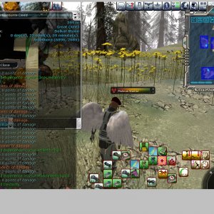 Xiv Belkar In Pvp