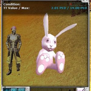Easter Bunny Pictures